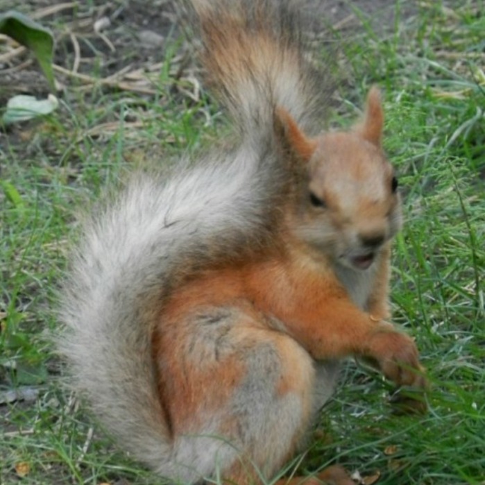 Аватар Вelyanochka