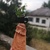 Аватар Алёна Кривецкая