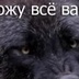 Сергей Серёгин