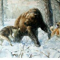 Аватар Степан Ганпанцура