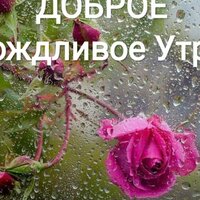 Аватар Гульфия Гафурова