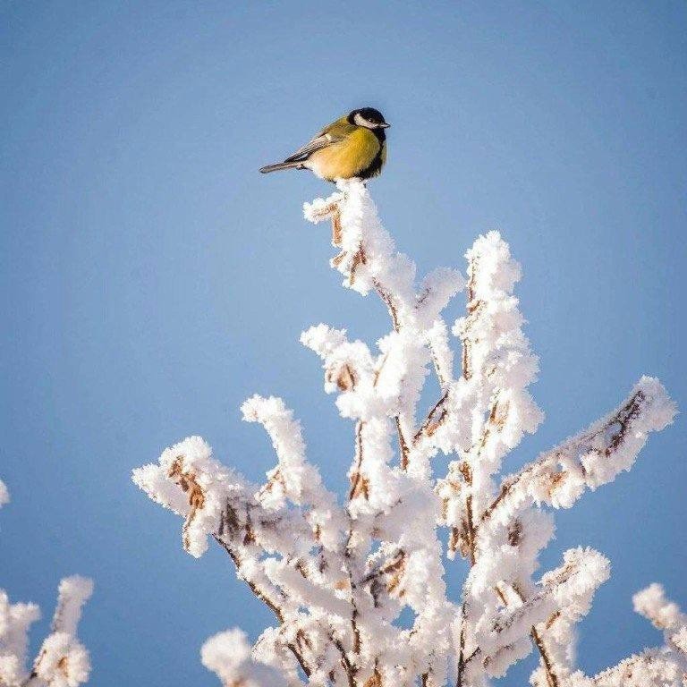 Аватар Борис Аникин 3