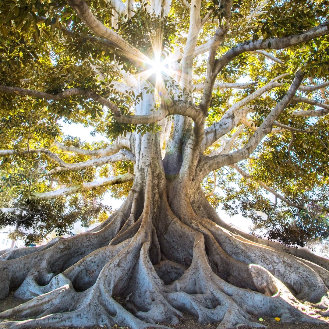 Аватар Борис Аникин 3