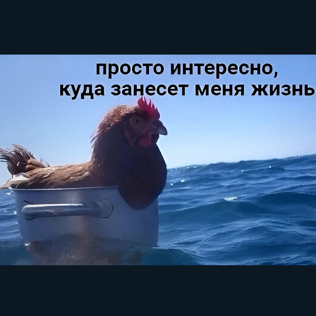 407739-7633.jpg