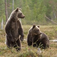 Александр Иванов 29