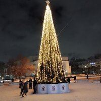 Лариса Рытикова