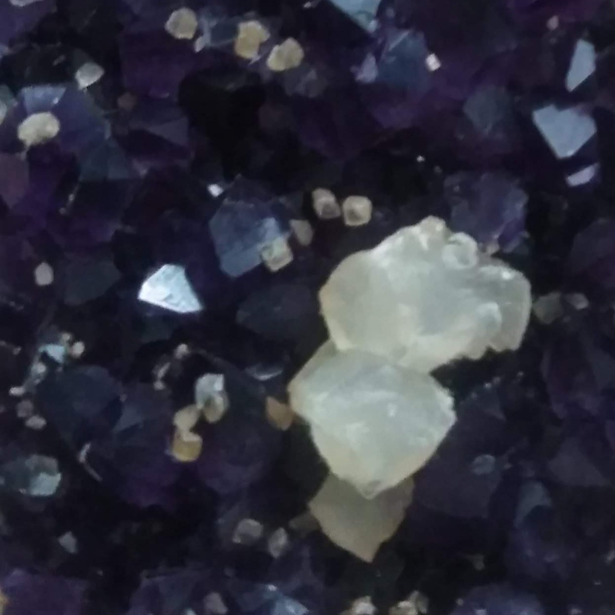 Аватар Отпетый поэт