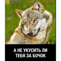 Аватар Антон Эйсмонт