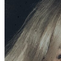 Елена Худякова