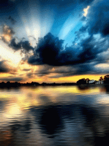 5138-1296484623.gif