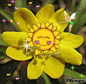 Saule