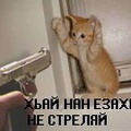 Аватар подопытный №2306