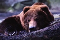 Аватар Александр Саньков