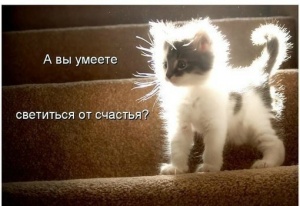 Динамит