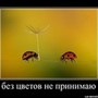 Аватар ***Shynar ***