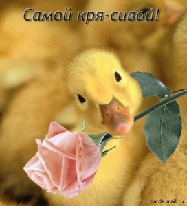 Аватар oksi kz
