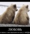 Аватар presto
