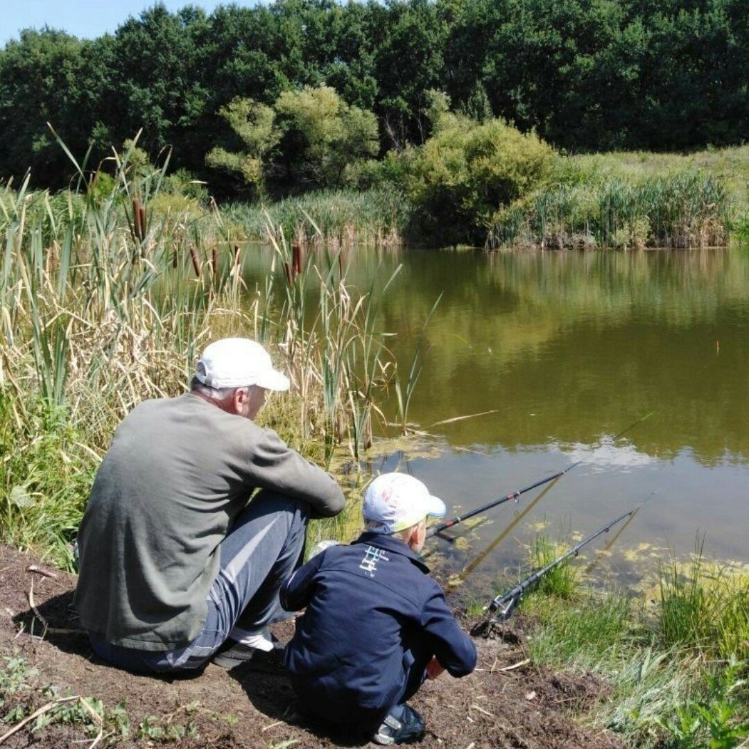 Аватар Алексей Лобачёв