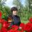 Аватар Елена Хайт