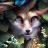 Аватар SoftnessFox