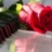 Аватар Светлана Борисова 4