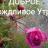 Аватар Гульфия Гафурова