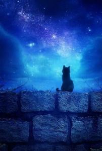 Magistika/TheMagicCat🐈‍⬛ Магия/Волшебство