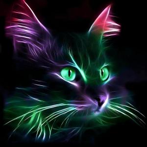 TheMagicCat🐈‍⬛ Общение/Сеть/Лайк