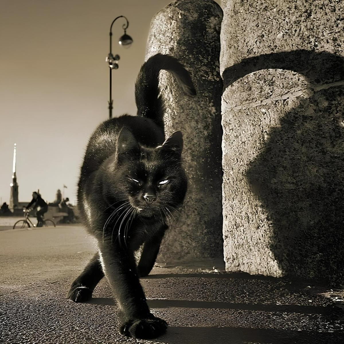 TheMagicCat🐈‍⬛ РазлукаСсора/Эмоции/Юмор