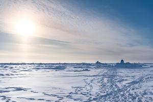 🧊🐻‍❄️🦭🐋🐧 Арктика / Антарктика (Антарктида)
