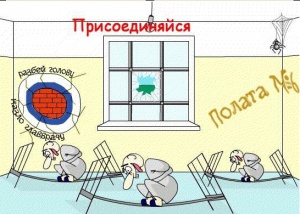 ПИРОЖКИ, ПОРОШКИ