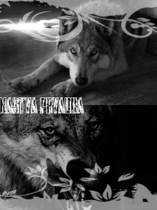 Душа волка