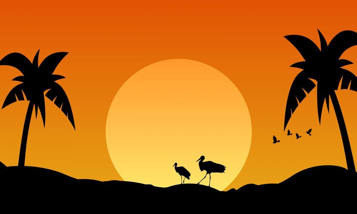 Иллюстрация к публикации