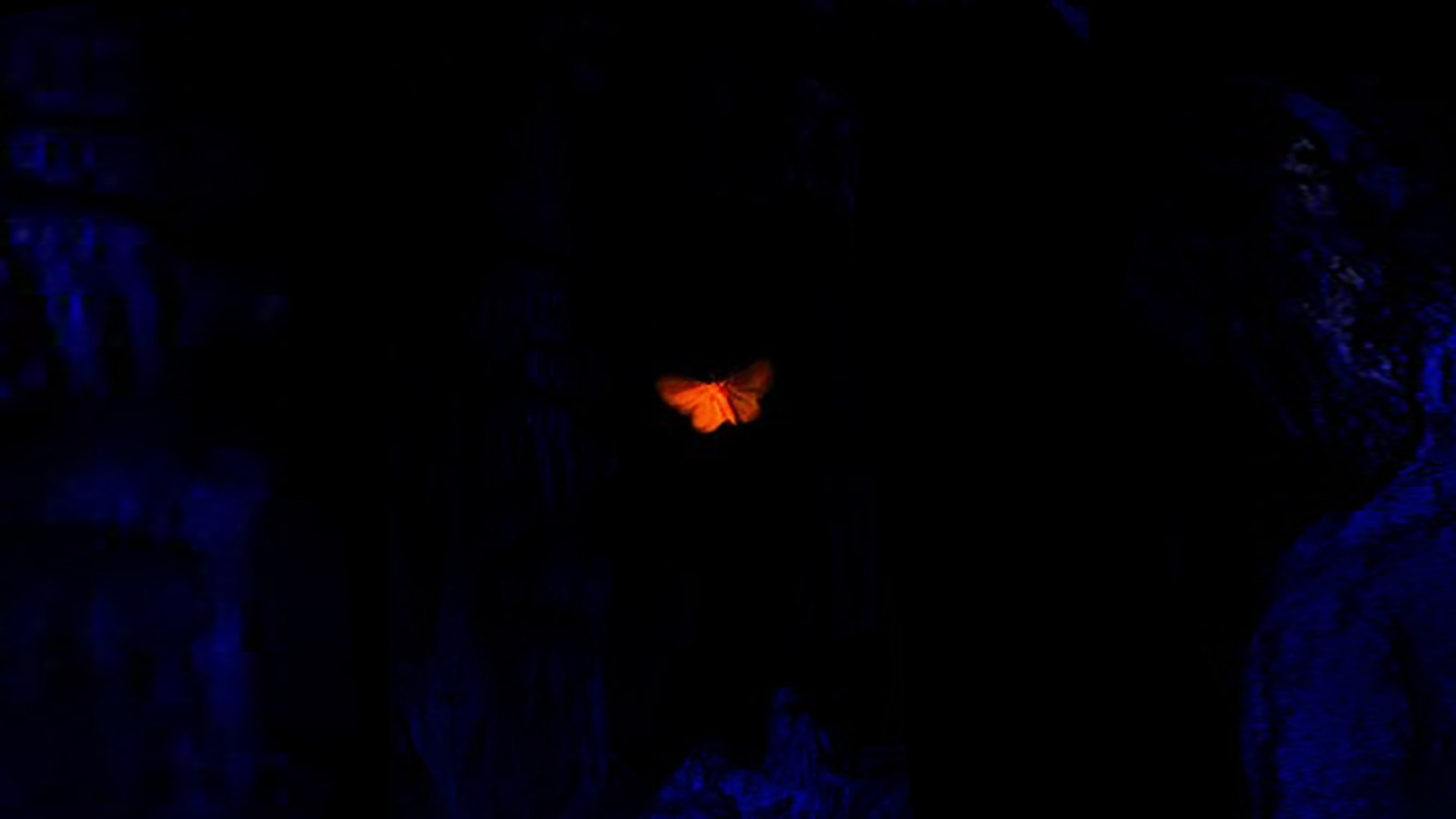 blob