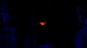 blob