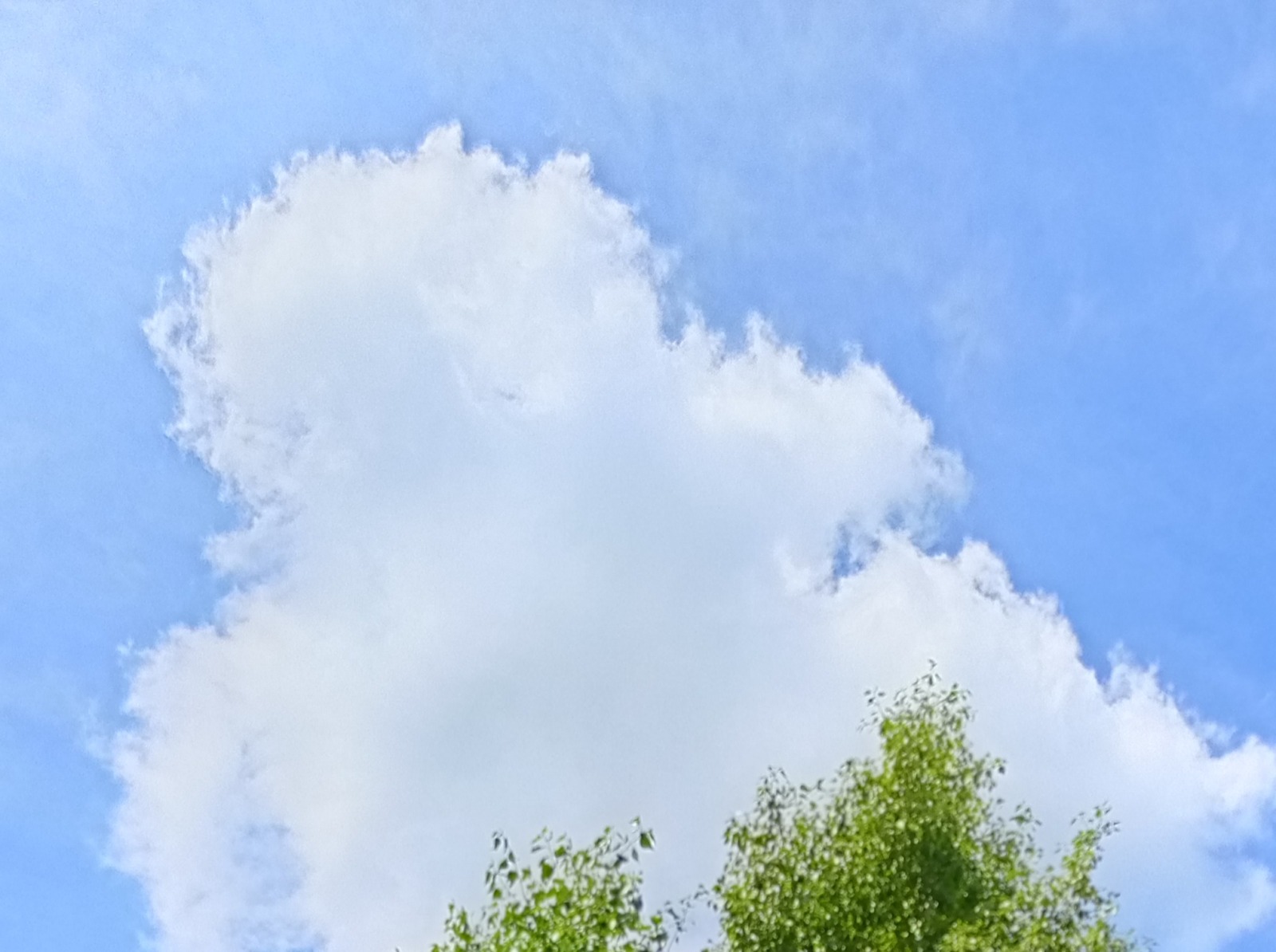 blob