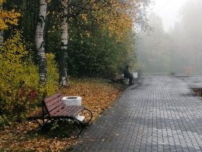 inpearls-image-rdq2127p72krbC0l2AQ