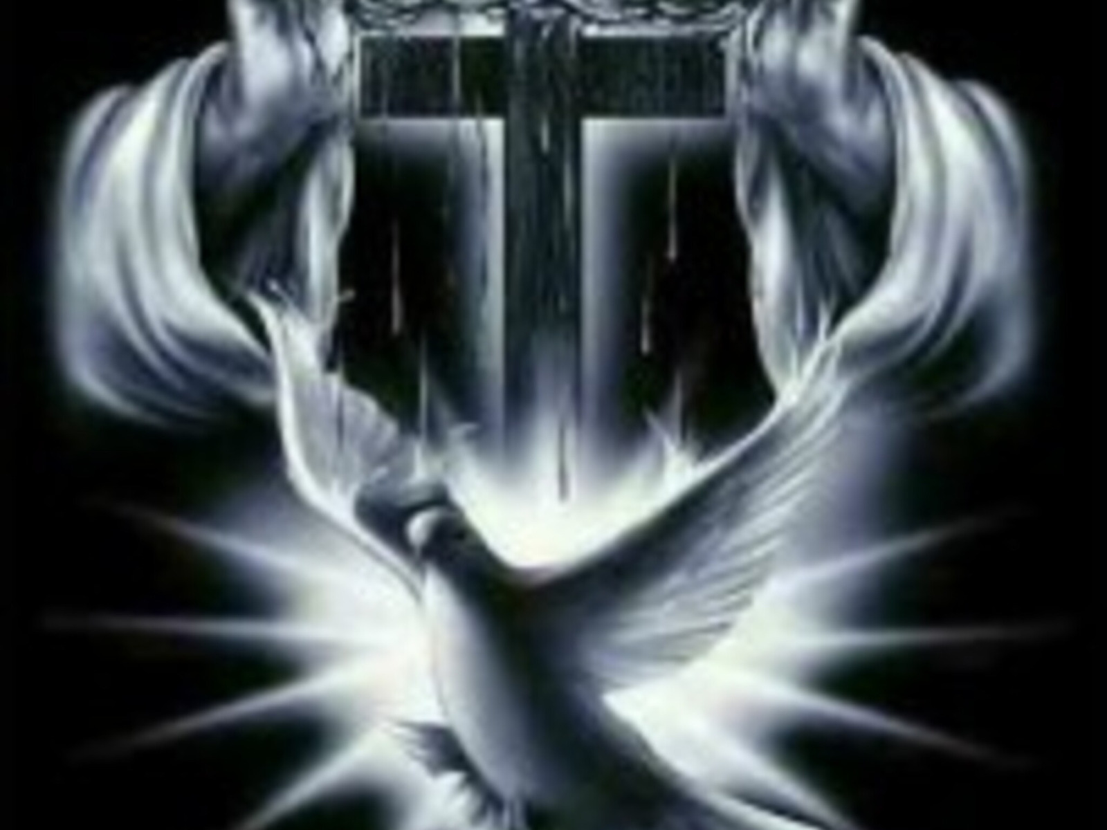 inpearls-image-pgd4h3fvmhcd190hSww