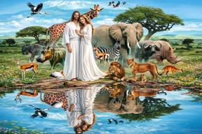 inpearls-image-kgihuj6qd9c11LY6ahP