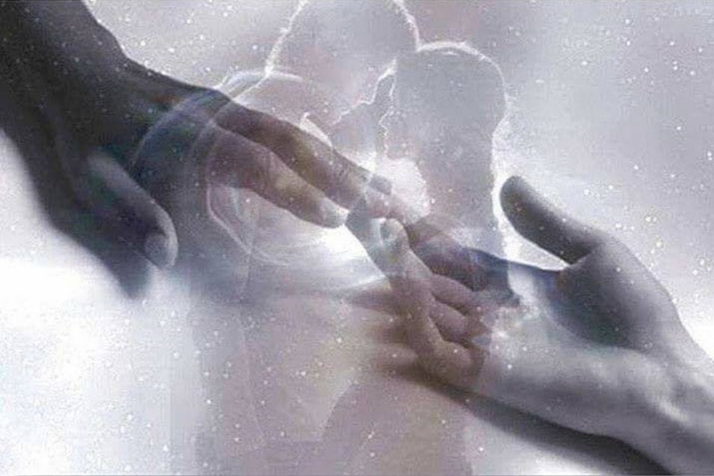 inpearls-image-4i5fj82kshu9dJ06fHN