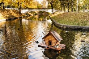 inpearls-image-ot3n8mk2vets3cXsZnH