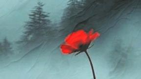 inpearls-image-2eaqjg2n3knb7tGJqsY