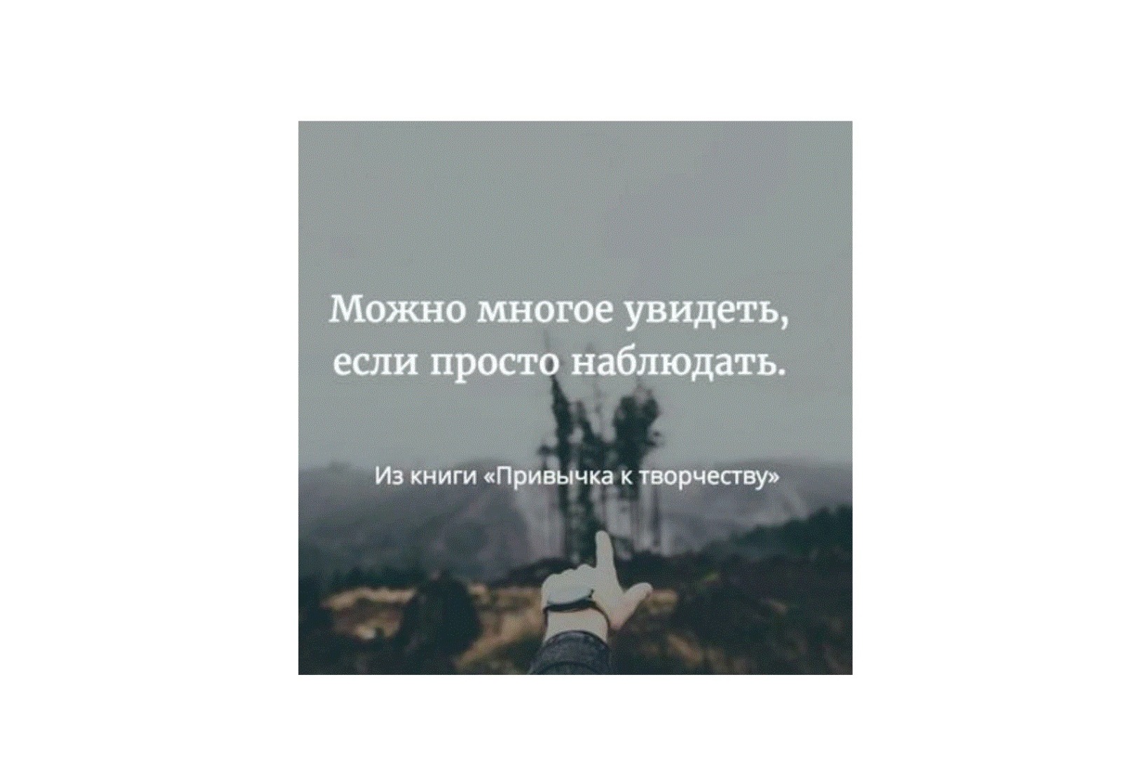 inpearls-image-v922kgv0d03l44rR6Zy
