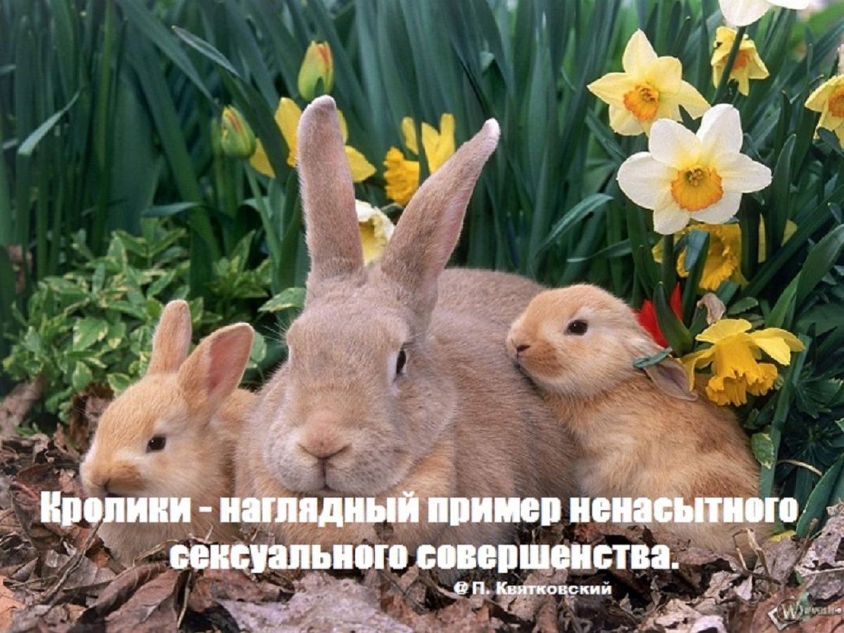 Иллюстрация к публикации