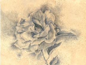 1671009-9174