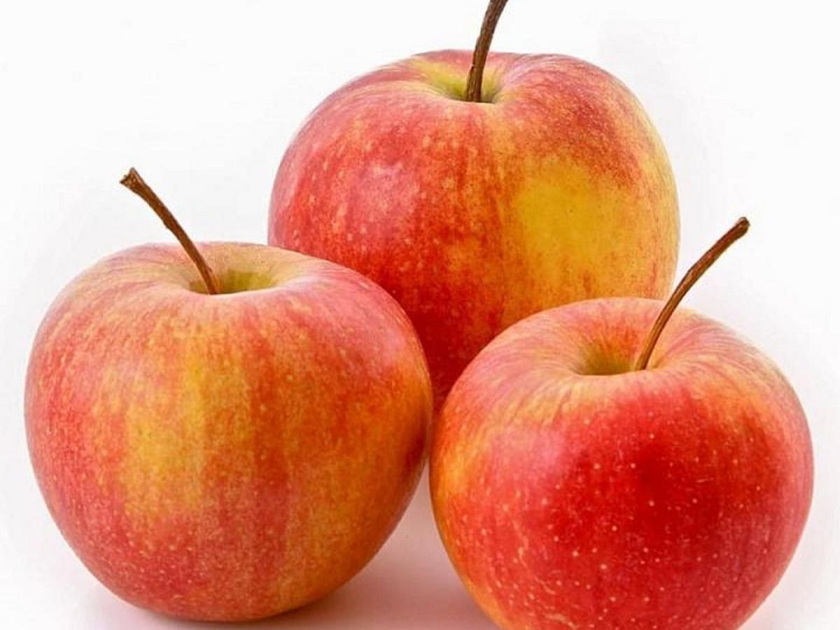 Включи 3 яблока. Яблоки Роял Гала. Яблоки Джонагоред. Яблоки Гала 1кг. Яблоки Роял Гала 1 кг.