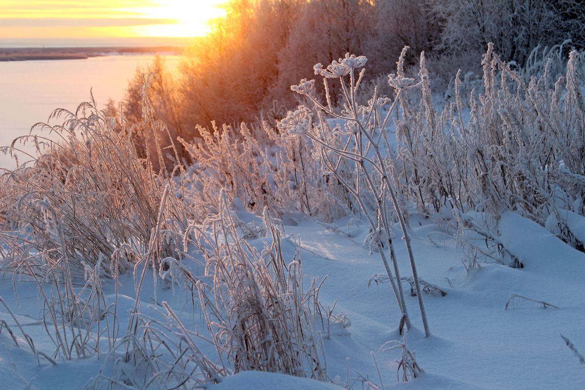 Иллюстрация к публикации