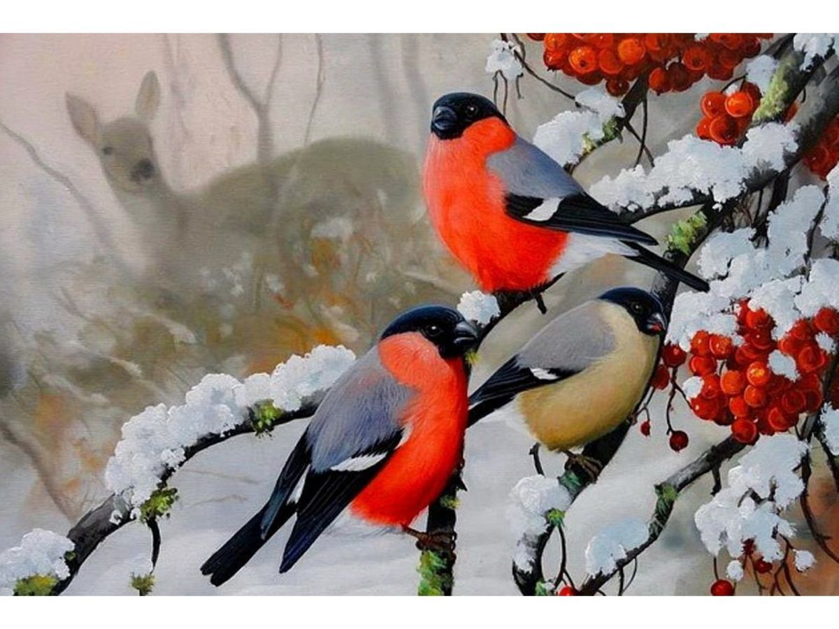 Иллюстрация к публикации