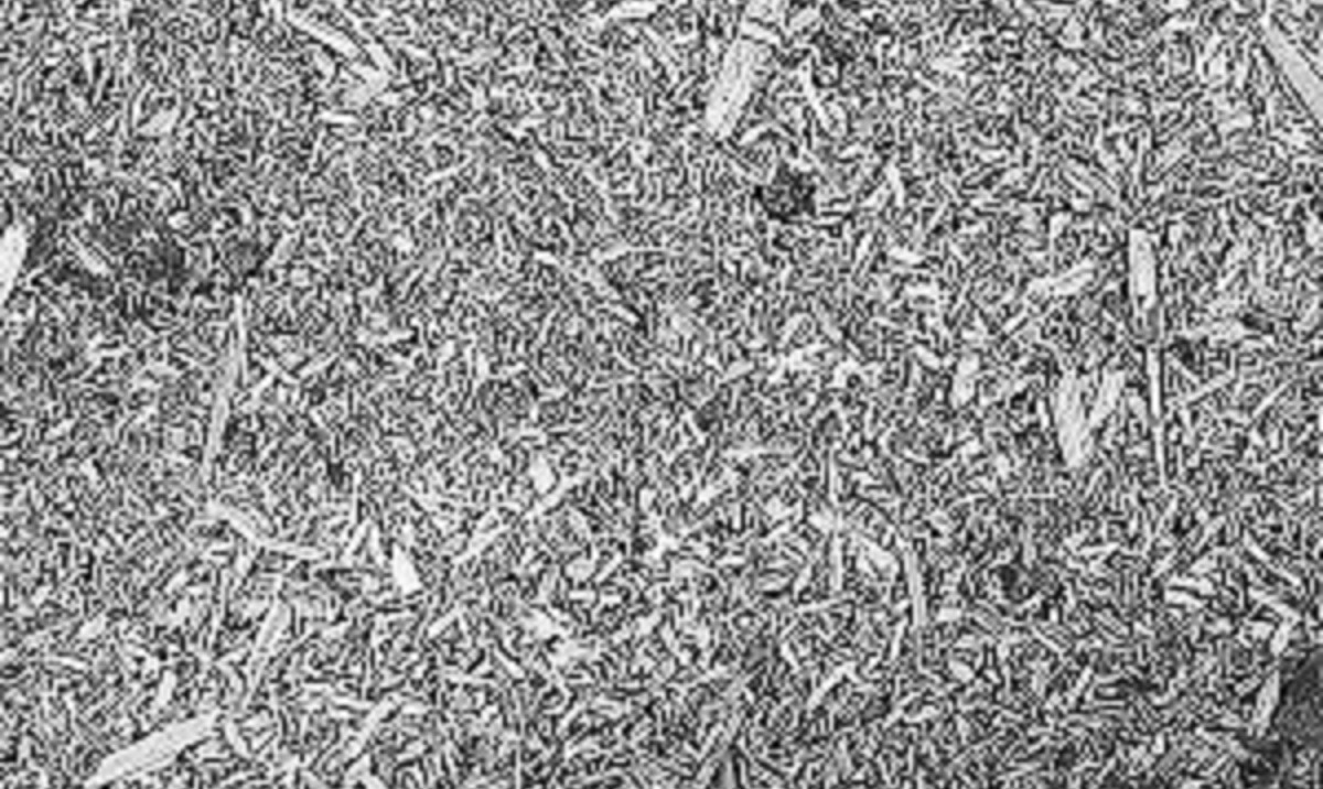 Иллюстрация к публикации