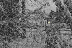 1691560-3819